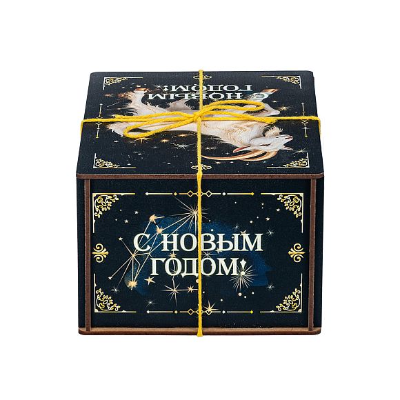 Сладкий новогодний подарок Новогодний презент «Созвездие Козерога (Мега Хит)»